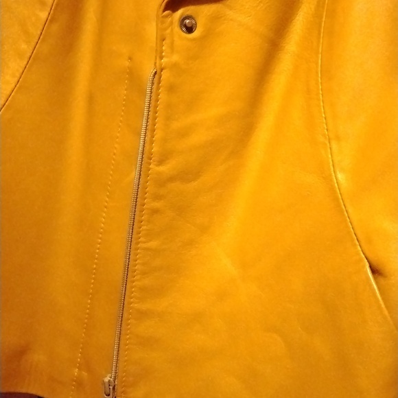 Leather jacket - Picture 6 of 8